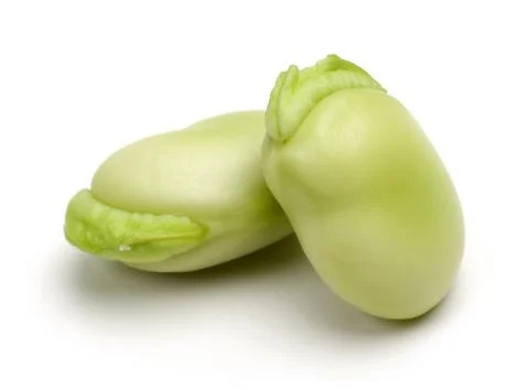 BEAN 0063 Stock Photos