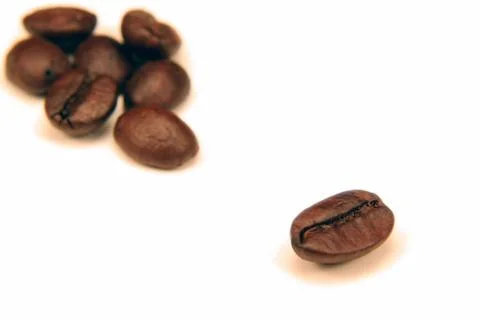 Bean Alone Stock Photos