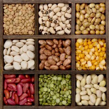 Bean background nine varieties in a printers box Stock Photos