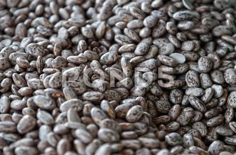 Bean for background uses Stock Photos