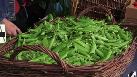 Bean Basket Stock Footage 147632302