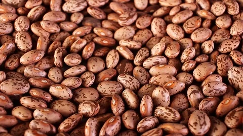 Bean, beans rotating closeup texture pattern background Stock Footage 97240309