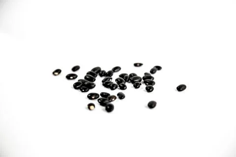 Bean black Stock Photos