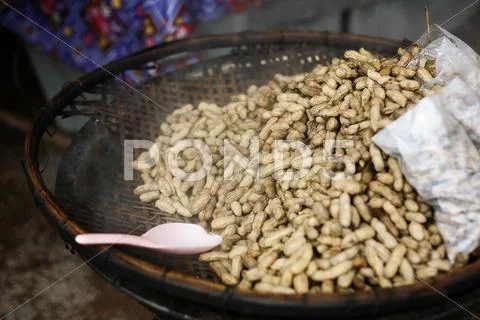 Bean boil Stock Photos