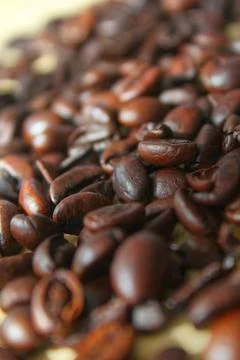 Bean coffee Stockfoto's