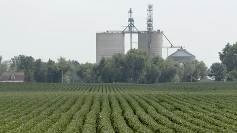 Bean field with tiny South Dakota town in background Stock Footage 158099020