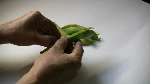 Bean Stock Footage 543787