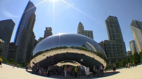 Bean Stock Footage 11516979