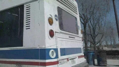 The Bean Video stock 113157704