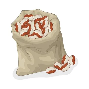 Bean Illustration Stock Illustration
