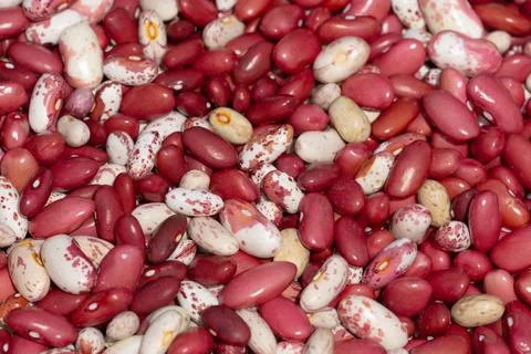 Bean mix for backgrounds or textures. Assorted dried beans close up. Variet.. Stock Photos