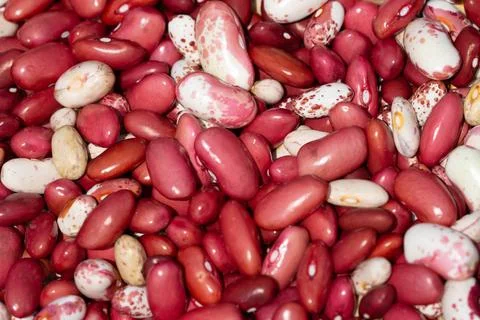 Bean mix for backgrounds or textures. Assorted dried beans close up. Variet.. Stock Photos