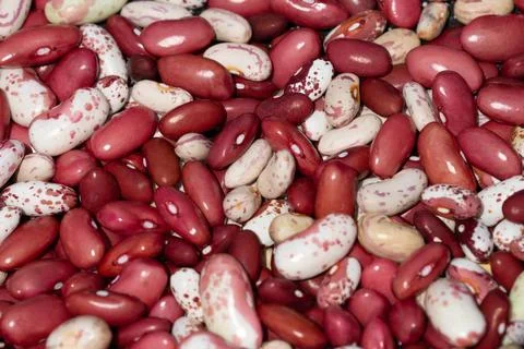 Bean mix for backgrounds or textures. Assorted dried beans close up. Variet.. Stock Photos