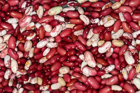 Bean mix for backgrounds or textures. Assorted dried beans close up. Variet.. Stock Photos