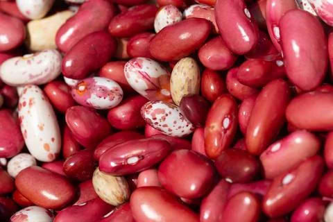 Bean mix for backgrounds or textures. Assorted dried beans close up. Variet.. Stock Photos