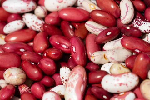 Bean mix for backgrounds or textures. Assorted dried beans close up. Variet.. Stock Photos