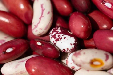 Bean mix for backgrounds or textures. Assorted dried beans close up. Variet.. Stock Photos