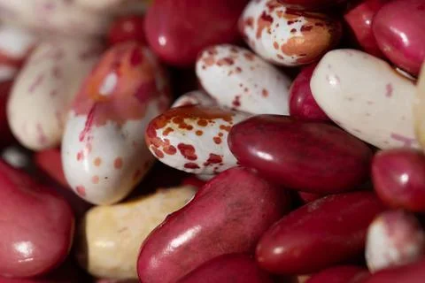 Bean mix for backgrounds or textures. Assorted dried beans close up. Variet.. Stock Photos