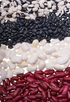 Bean mix isolated Stock Photos