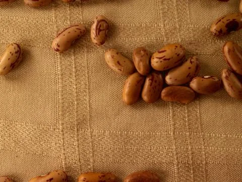 Bean Stock Photos