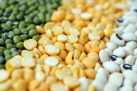 Bean Stock Photos