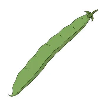 A bean pod in cartoon style. Vector illustration of phaseolus vulgaris Ilustración de archivo