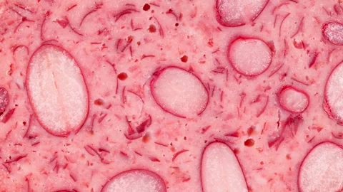 Bean red roll pressed round piece Stock Footage 310799245