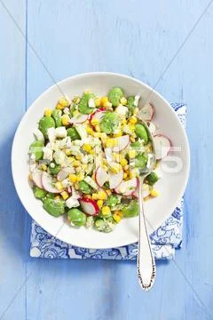 Bean salad with radishes, sweetcorn and cucumber Stock Photos