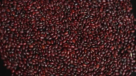Bean seeds Stock Footage 62067735