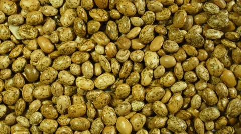 Bean seeds rotating, close-up macro Vídeos de archivo 47788055