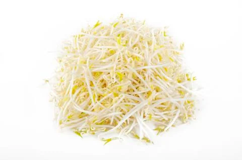 Bean sprout on white background Stock Photos