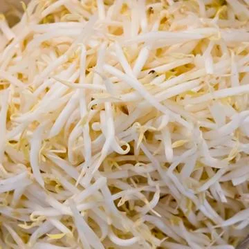 Bean sprouts background texture Stock Photos