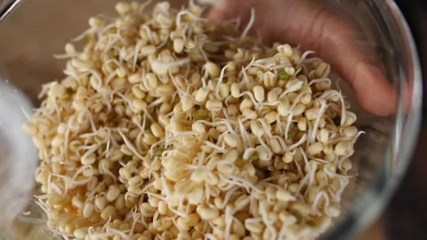Bean Sprouts Falling into a Bowl, HD Stock Footage 148192235