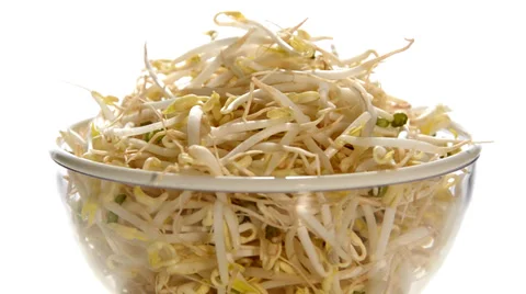 Bean sprouts 動画素材 36142132
