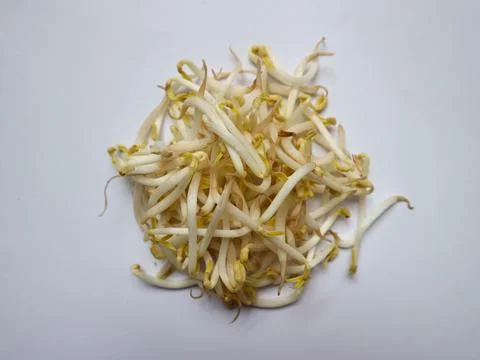 Bean sprouts form a circle on a white background Stock Photos