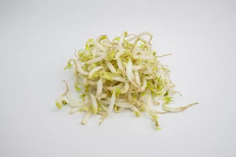 Bean sprouts. in Groups. typical Indonesian. isolated on white background. Stock Photos