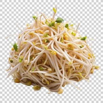 Bean-sprouts-isolated-on-white-background (1) Stock Photos