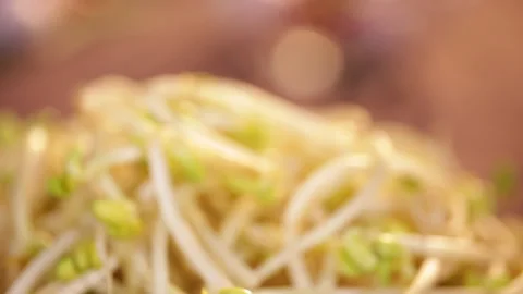Bean sprouts, mung bean sprouts, yellow bean sprouts (5) Stock Footage 202208188