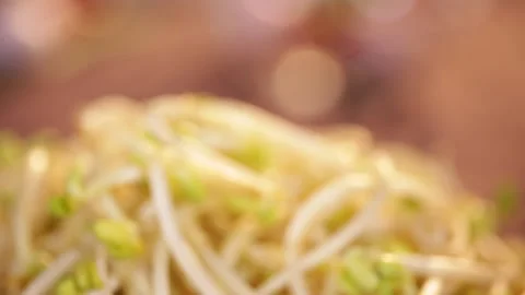 Bean sprouts, mung bean sprouts, yellow bean sprouts (6) Stock Footage 202208190