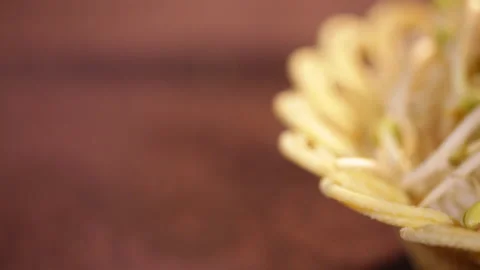 Bean sprouts, mung bean sprouts, yellow bean sprouts (1) Stock Footage 202208197