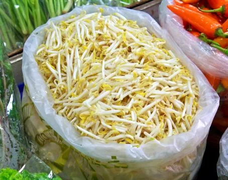 Bean sprouts Stock Photos
