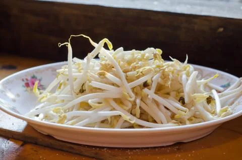 Bean sprouts Foto stock