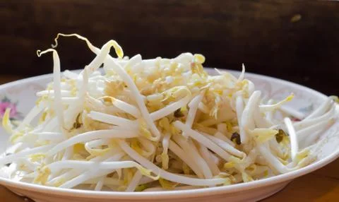 Bean sprouts Stock Photos