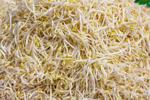 Bean sprouts Stock Photos