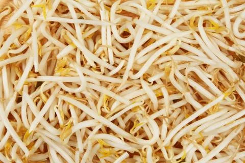 Bean sprouts Stock Photos