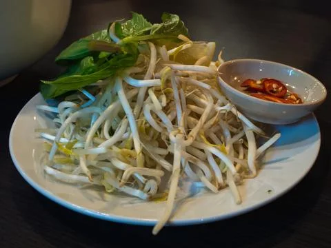 Bean Sprouts Stock Photos