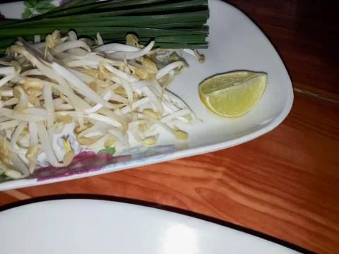 Bean sprouts in plate Stock Photos