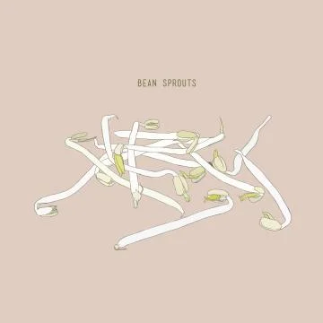Bean Sprouts sketch vector. Stock Illustration