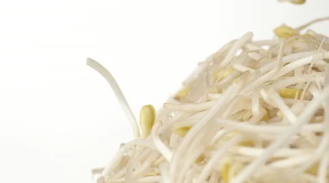 Bean sprouts. Slow Motion. Stock Footage 50514483
