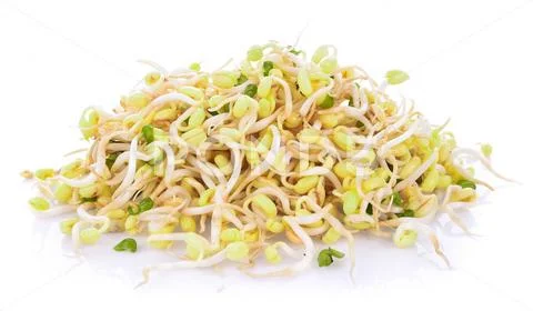 Bean sprouts, soybean sprouts on white background Stock Photos
